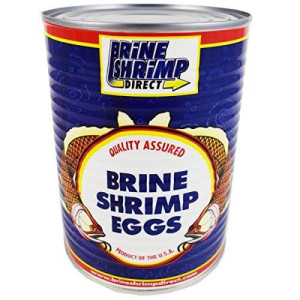 Premium Grade Brine Shrimp Eggs (90%), 16 oz.