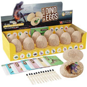 Easter Dig a Dozen Dino Egg Dig Kit - Egg Dinosaur Toys for Kids 3-12 Year Old - 12 Eggs & Surprise Dinosaurs. Science STEM Activities - Educational Boy Toy Party Gifts for Boys & Girls Ages 3-5 5-7