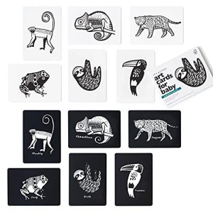 Wee Gallery Black and White Art Flash Cards for Babies, High Contrast Educational Animal Picture Cards, Baby Visual Stimulation, Brain and Memory Skills in Infants and Toddlers - Rainforest Animals