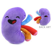 Attatoy Plush Kidney, Stuffed Body Organ Toy for Get Well Gift, Health Education and More
