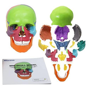 Anatomy Skull Model Aliwovo Human Anatomical Skull 15-Parts Puzzle Mini Colorful Medical Model with Color Study Manual, Teaching-Learning Tool