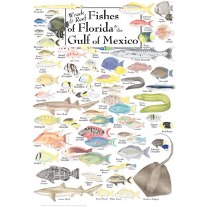 Wreck & Reef Fish of Florida & the gulf of Mexico Puzzle