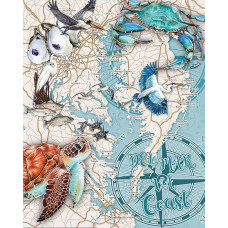 Delmarva coast Puzzle