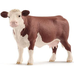 Hereford cow&44 Brown & White