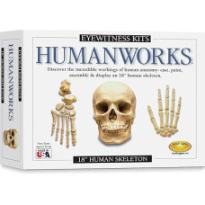 Skullduggery Eyewitness Kit Humanworks Casting Kit