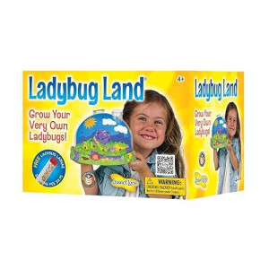 Insect Lore Live Ladybug Growing Kit Toy -Unisex-Children Original Ladybug Land