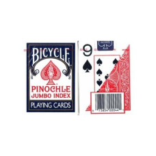 MAgNIFYINg AIDS Print Pinochle Playing cards, Large, 2 Decks
