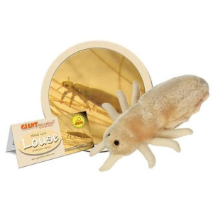 GIANT MICROBES Pediculus Capitis Louse Science Kit