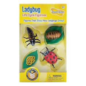 Insect Lore Ladybug Life Cycle - 4 Pc Insect Figure Shows Life Of Lady Bug