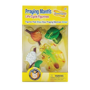 Praying Mantis 4 Piece Life Cycle Figures - 2" Bug Toys By Insect Lore