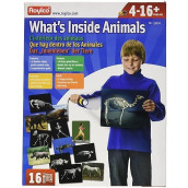 Whats Inside Animals Flash Cards