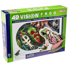 4D Vision Frog Anatomy Model