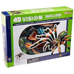 4D: Tarantula Spider Anatomy Model