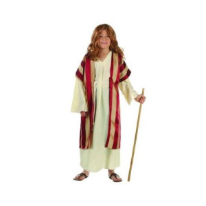 Rg Costumes 90284-L Deluxe Moses Costume - Size Child Large 12-14