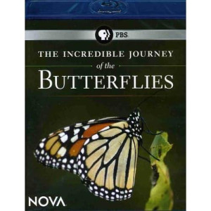 Nova: The Incredible Journey Of The Butterflies [Blu-Ray]