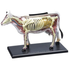 Tedco 4D Vision Cow Model