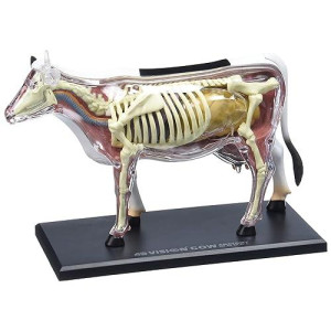 Tedco 4D Vision Cow Model