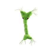 Giantmicrobes Nerve Cell Plush - Learn About Your Nervous System With This Memorable Plush, Unique & Educational Gift For Scientists, Students, Neurologists And Anyone With A Healthy Sense Of Humor