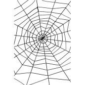 Smiffys Spider Web With Spider - Large