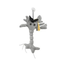 Giantmicrobes Graduation Brain Cell Plush, Graduation Plush, Graduation Stuffed Animal 2024, Nurse Graduation Gift, Medical School Graduation Gifts