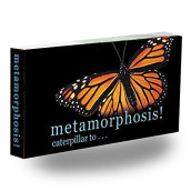 Fliptomania Caterpillar To Monarch Butterfly Metamorphosis Flipbook
