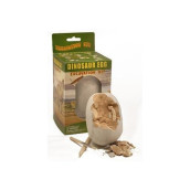 Large Dinosaur Egg Excavation Kit By Nw Active Kids