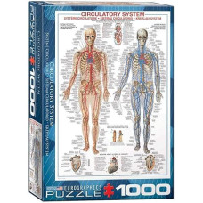 Eurographics Circulatory System 1000 Piece Puzzle