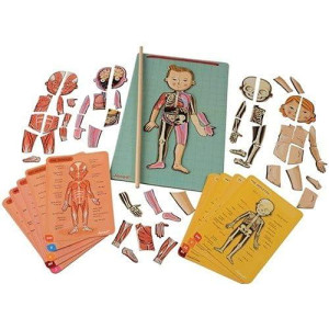 Janod Bodymagnet Educational Human Body Game - Anatomy, Organs, Skeleton, Muscles - 76 Magnetic Pieces - From 7 Years Old, 12 Languages, J05491