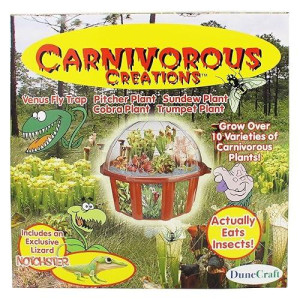 Dunecraft Carnivorous Creations Dome Terrarium