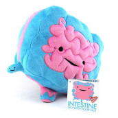 I Heart Guts Intestine Plush - Go With Your Gut! - 9" Intestinal Support Toy - Organ Stuffed Pillow Gift For Colon Disease, Ibs, Ibd, Colitis, Crohn