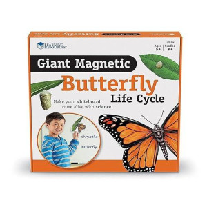 Learning Resources Butterfly Life Cycle, 9 Write And Wipe Pieces, Classroom Accessories, Teaching Aids, Ages 5+