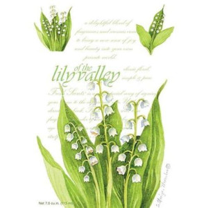 Fresh Scents Scented Sachets - Lily Of The Valley, Lot Of 6