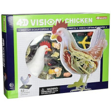 Tedco 4D Vision Chicken Anatomy Model