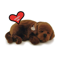 Perfect Petzzz - Original Petzzz Chocolate Lab, Realistic, Lifelike Stuffed Interactive Pet Toy, Companion Pet Dog With 100% Handcrafted Synthetic Fur