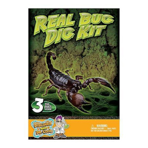 Real Insect Excavation Kit - Dig, Discover, And Collect 3 Real Bugs!