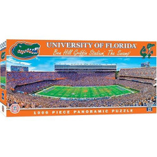 Florida Stadium Panoramic