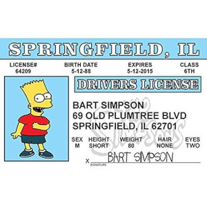 Signs 4 Fun Parody Id | Bart Driver�S License | Fake Id Novelty Card | Collectible Trading Card Driver�S License | Novelty Gift For Holidays | Made In The Usa