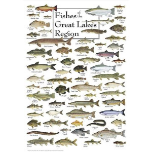 Heritage Fish Of The Great Lakes Region Jigsaw Puzzle - 550 Pieces