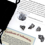 DANCING BEAR Meteorite from Space, 5 pcs Campo del Cielo from Argentina/ Educational Card & Magnifying Box