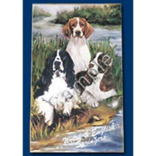 English And Welsh Springer Spaniel Dog Playing Cards Designed By Ruth Maystead (Sps-Pc)