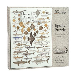Heritage Puzzle Sharks, Skates & Rays Of The Atlantic & Gulf Of Mexico - 550 Piece Jigsaw Puzzle