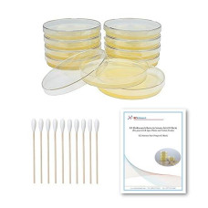 Ez Bioresearch Bacteria Science Kit (Iv): Top Science Fair Project Kit. Prepoured Lb-Agar Plates And Cotton Swabs. Exclusive Free Science Fair Project E-Book Packed With Award Winning Experiments (Iv)