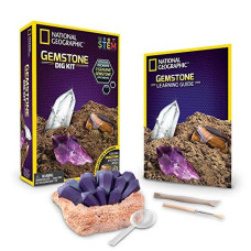 National Geographic Gemstone Dig Kit - Excavate 3 Real Gems Including Amethyst, Tiger�S Eye & Rose Quartz - Great Stem Science Gift For Mineralogy And Geology Enthusiasts Of Any Age