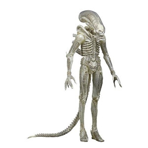 Neca Aliens Series 7 Concept 79' Action Figure (7" Scale)