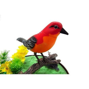 Az Trading & Import Bc507B Singing & Chirping Bird In Cage - Realistic Sounds & Movements