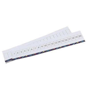 Didax Write On Wipe Off 1-20 Number Path, Multicolor