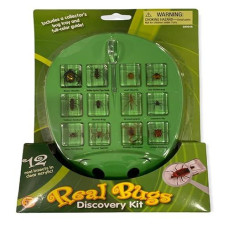 Lakeshore Real Bugs Discovery Kit