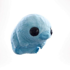 Water Bear - Large