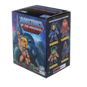 Loyal Subjects Masters of The Universe Blindbox Standard