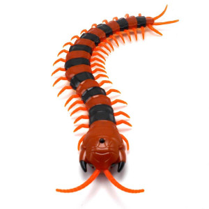 Tipmant Simulation Rc Centipede Scolopendra Realistic Remote Control Vehicle Car Animal Insect Large Size Electric Prank Toy Kids Christmas Birthday Gifts (Orange Striped)